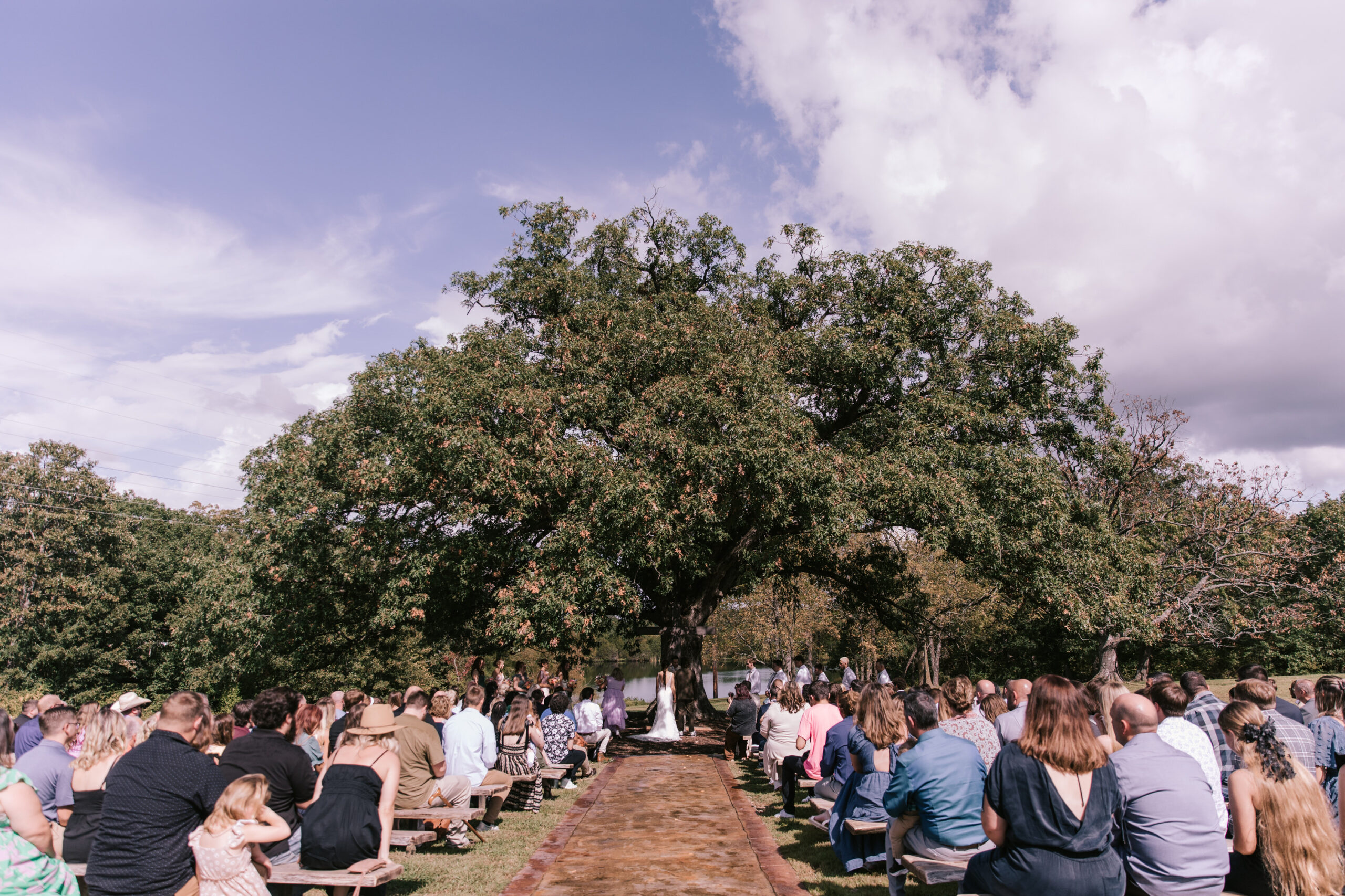 Bride and groom get married in a ceremony under a large oak tree at Mighty Oak Lodge